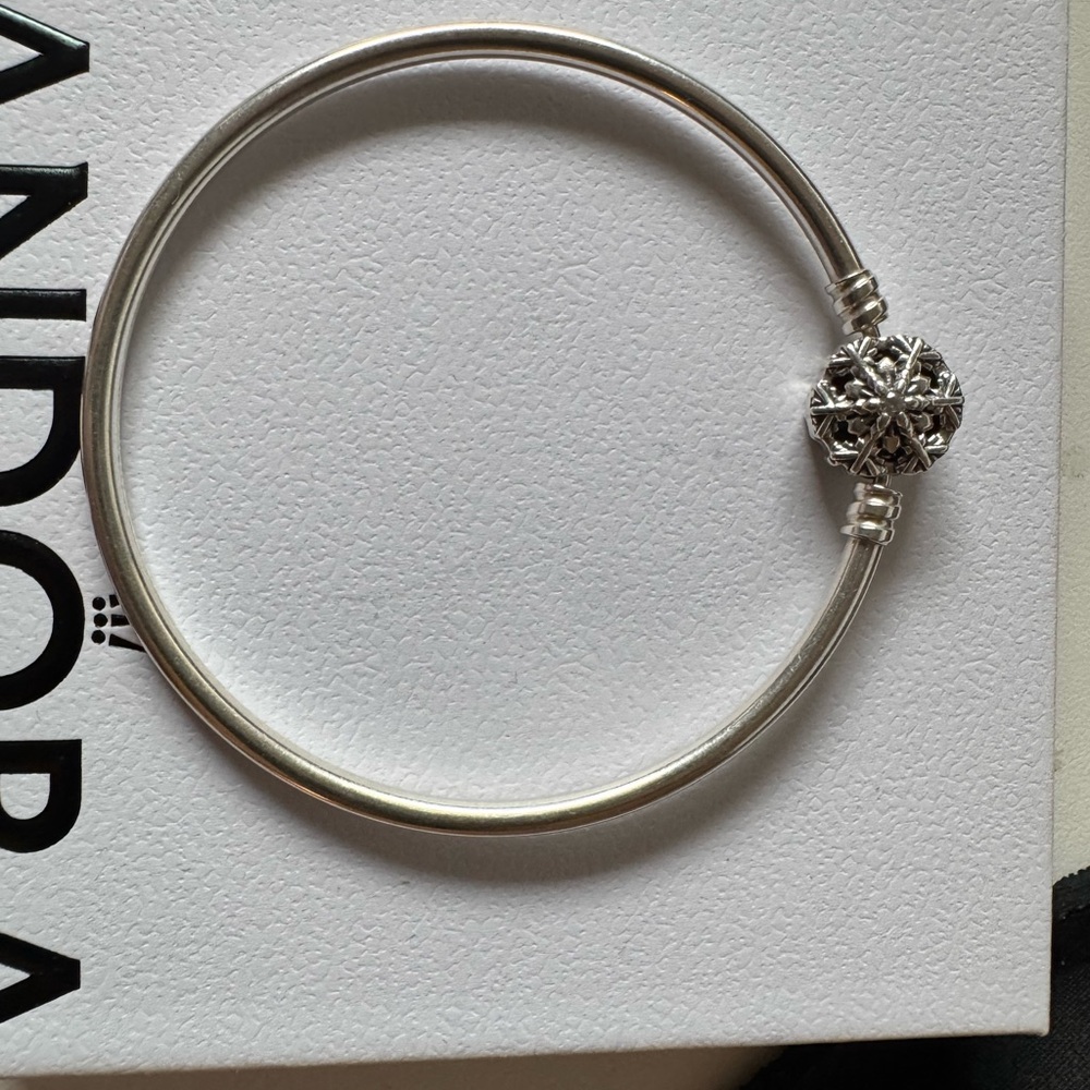 Pandora Silver Bracelet with Intricate Charm
